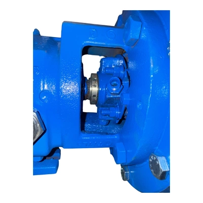 Used GOULDS LF3196 Centrifugal Pumps MX | MAQUINARIA PECUSA #1394329