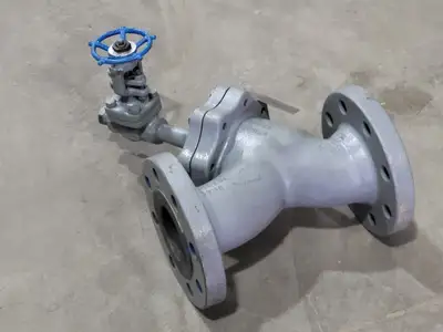 3" Fig 34 Y-Type Strainer w/ 3/4" Class 800 Gate Valve C-2054B-02TY