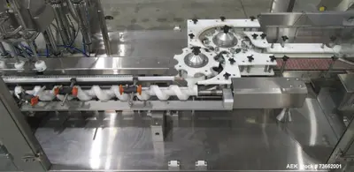 Used CAPMATIC VERIFILL Liquid & Paste Complete Packaging Lines Illinois US | Aaron Equipment #1130451