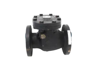 NEW CRANE 373 CHECK VALVE 3" 125S 78719887