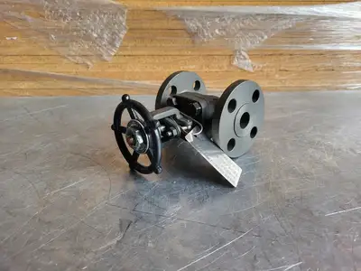 3/4" Class 150 Gate Valve B16.34