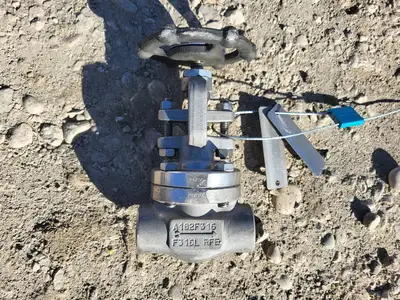 New | in-Stock BONNEY FORGE HL 38L-NACE-LE Valves/Fittings British Columbia CA | Lenmark #257028