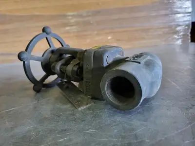 1" Class 800 Gate Valve API 602