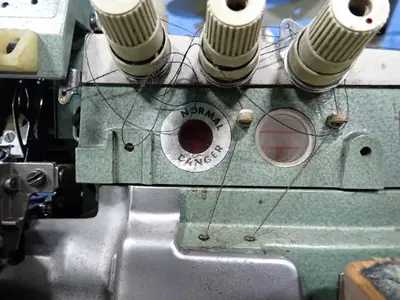 Pegasus Sewing Machine