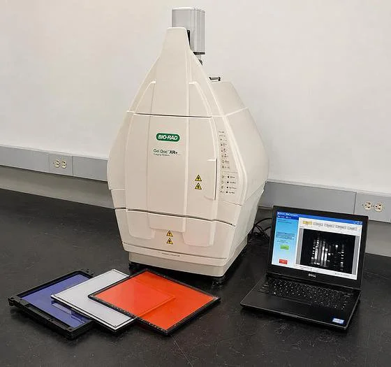 Used BIO-RAD CHEMIDOC XRS Imaging Systems / Molecular Imagers New Jersey US | Bionex Scientific LLC #1345081