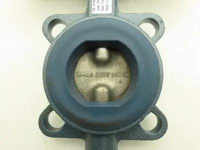 Ebro EB05FS6 F04/V11 DN65 2-1/2" Butterfly Valve & Pneumatic Actuator 14.5 PSI
