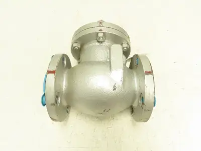 Neway API594 Swing Check Valve 3" Flanged RF WCB Steel Class 150