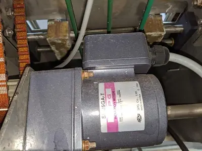 Infeed Conveyor for Pouch Filler