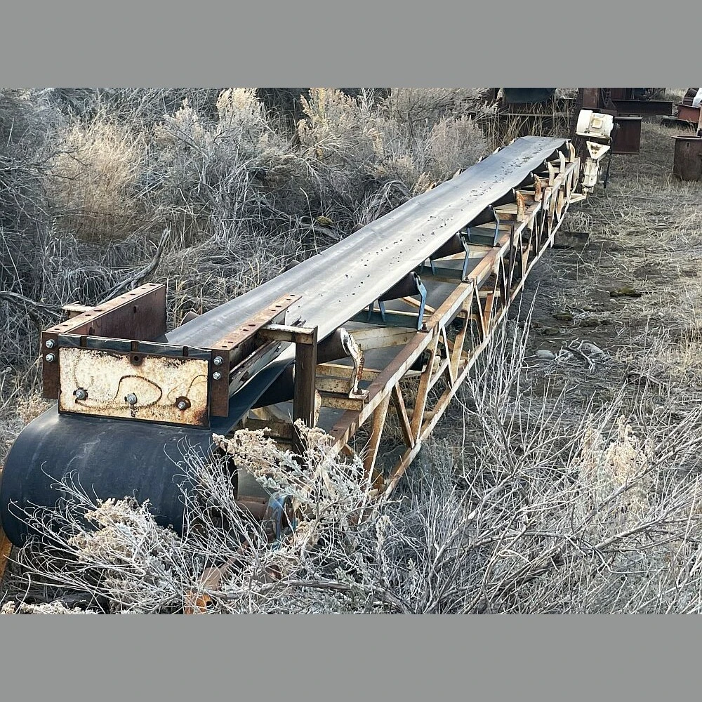 20in. Wide x 40ft. Long Truss Conveyor