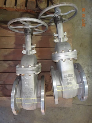 Takamisawa 12", Class 150, CF8, Gate Valve