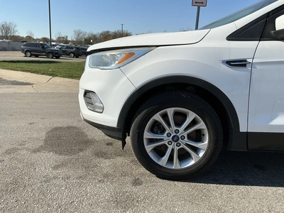 Used 2017 FORD ESCAPE Utility Vehicles Michigan US | Miedema Asset Management Group #1732721