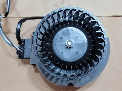 NEW 2023 BERGSTROM A22-75338-000