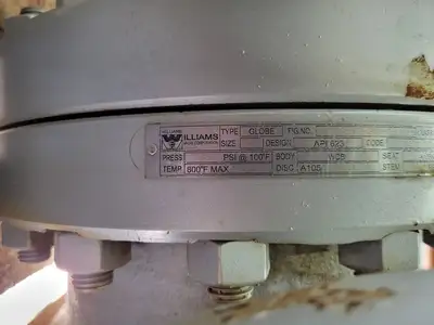 8" Class 300 Globe Valve API 623