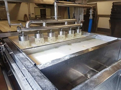 Kalt/GEA Westfalia 24 TPD complete cheese plant.