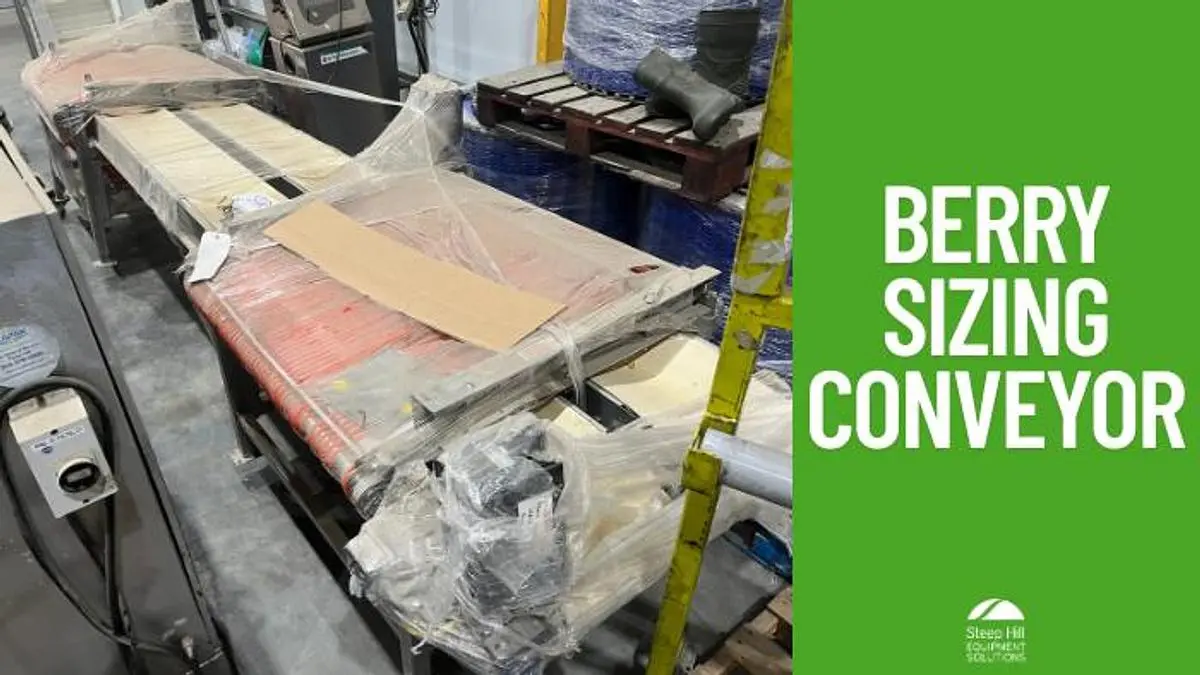 Berry Sizing Conveyor