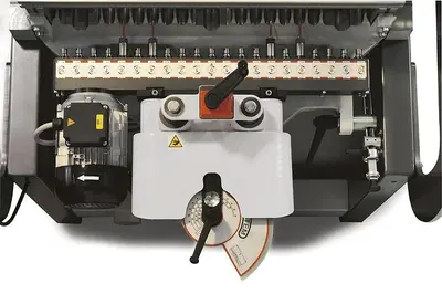 NEW MAGGI PRESTIGE 21