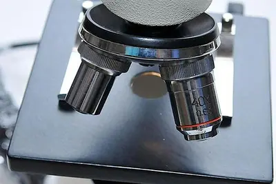 Student Microscope with Illumination / Halogen Lamp, PRM-11