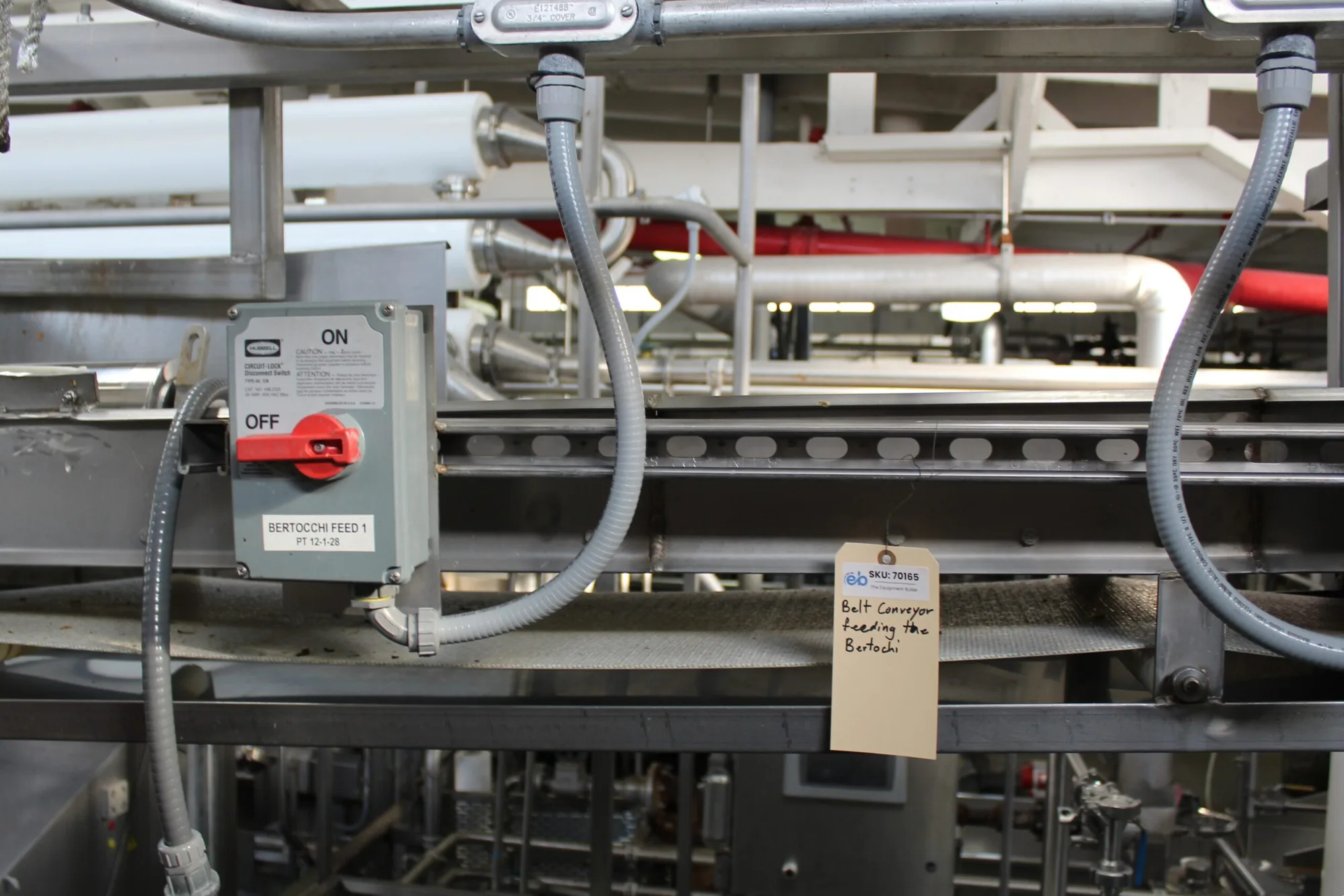 Infeed Conveyor – Bertochi
