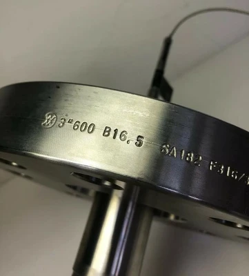NEW Vega Vegaflex 66