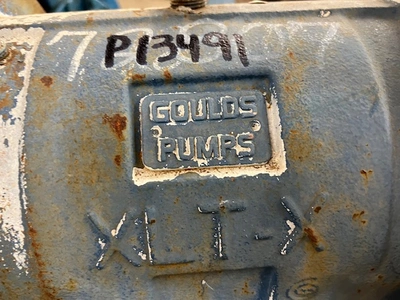 USED Goulds 3196XLT-X