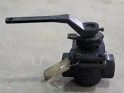 Size 1", Rating 300, Globe Valve PL-1596