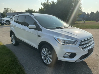 Used 2019 FORD ESCAPE SUVs Michigan US | Miedema Asset Management Group #1320461