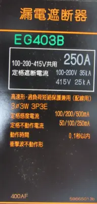 NEW FUJI ELECTRIC EG403B CIRCUIT BREAKER 250A