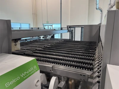 Used 2019 BIESSE "SELCO WNAR6" Single-Line Beam Saws Florida US | MachineryMax #1462145