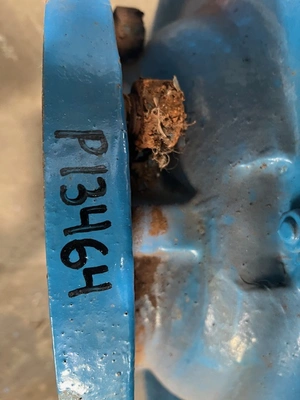 USED Goulds 3180