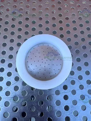 Unknown Stainless Steel Gas Distribution Plate 3"