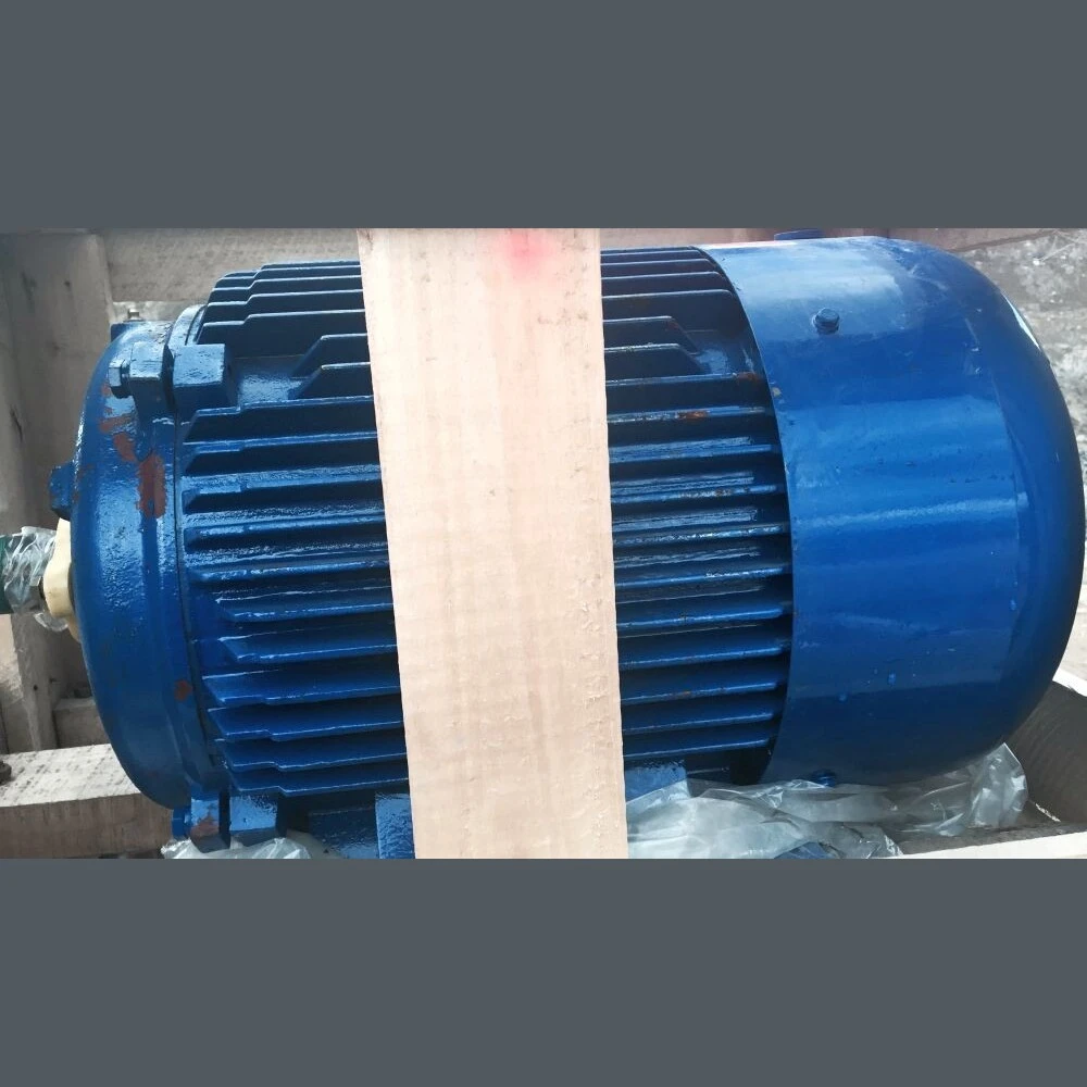 VP 25 hp Electric Motor