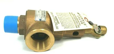 NEW KUNKLE 6010FEE01-LM STEAM RELIEF VALVE 6010FEE01LM 6010FEE01LM0045
