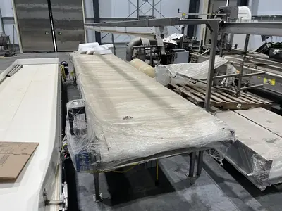 19ft Inspection Conveyor