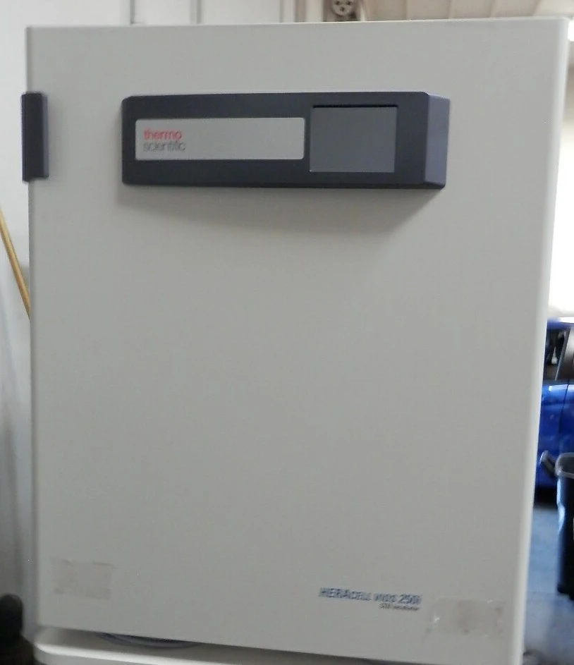 Used THERMO _UNKNOWN_ Incubators California US | Biotech Equipment Sales #1464465