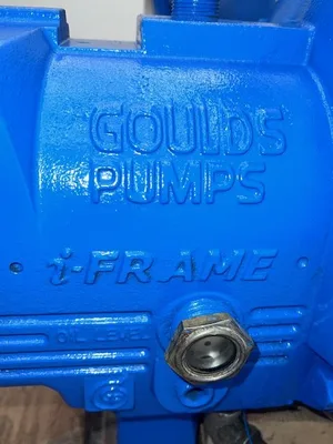 USED Goulds 3196 MTi
