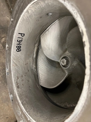 USED Goulds 3175