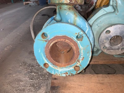USED GOULDS 3196ST