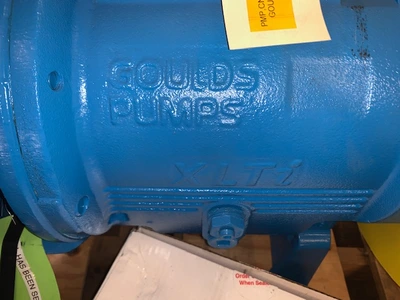 USED Goulds 3196XLTi