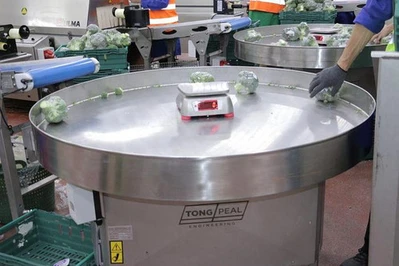 New | in-Stock TONG ENGINEERING _UNKNOWN_ Accumulation Tables Georgia US | Snap Equipment #1546470