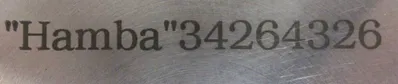 NEW HAMBA 34264326 EXTRUSION PISTON