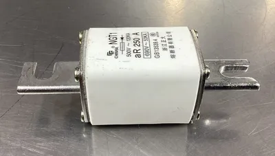 CHNUSA NGT1 690V 250A FUSE. 4C-43
