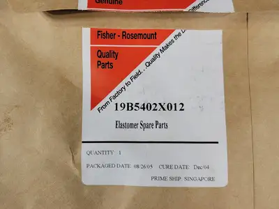 NEW ROSEMOUNT 19B5402X012