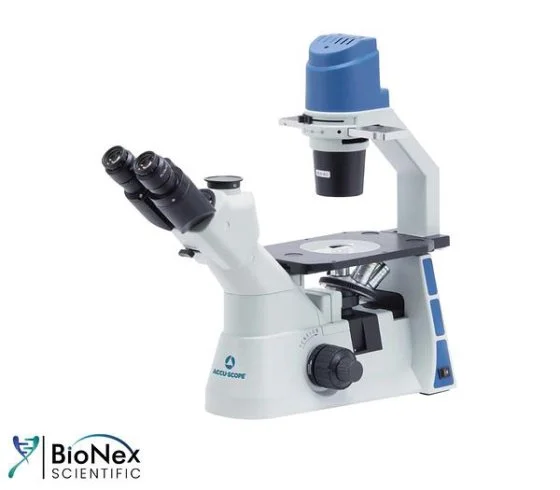 Used ACCU-SCOPE EXI-310 Microscopes New Jersey US | Bionex Scientific LLC #799779