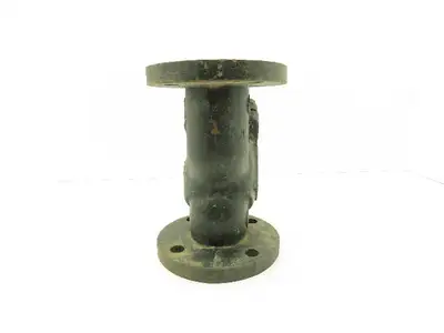 Mueller 2-1/2" Flanged Cast Iron Y Strainer #125 Model 758