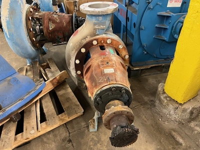 USED Goulds 3175