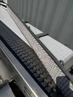 Alliance Infeed/ Dump conveyor