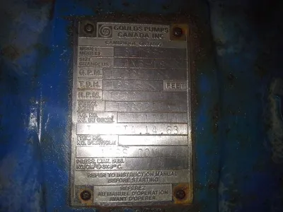 USED Goulds 3175