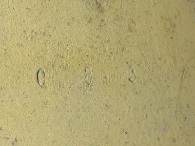 USED CATERPILLAR 6Y-5539