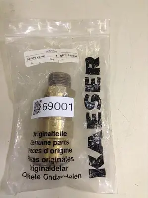 NEW KAESER SW10-1NPT