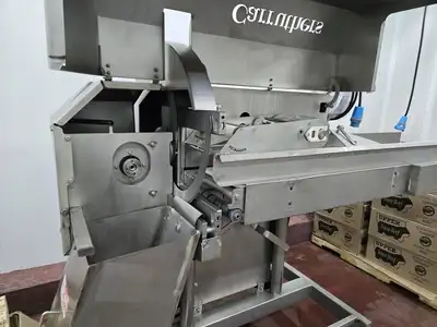 USED 2009 CARRUTHERS ADVANTEDGE 50002 DICER/SLICER